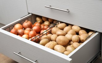 Когда и как убирать ботву картофеля: полезные рекомендации для садоводов